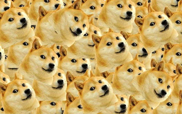 Meme chó shiba inu nổi tiếng CĐM là ai? Top ảnh chó shiba bựa hài hước -  Coolmate