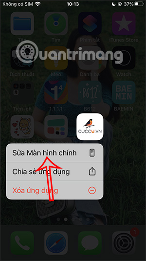 Sửa màn hình chính iPhone