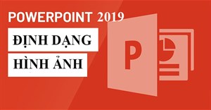 PowerPoint 2019 (Phần 15): Định dạng ảnh
