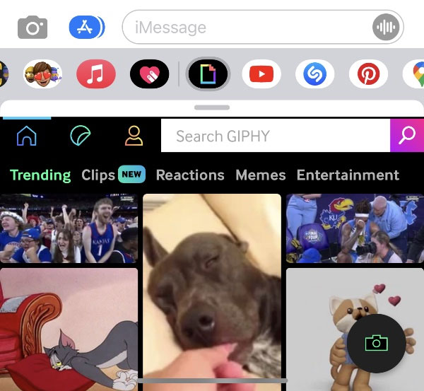   Search for the GIF you want to send