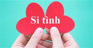 Si tình là gì? Si tình khác lụy tình như thế nào?