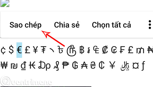 ki tu dac biet ff
