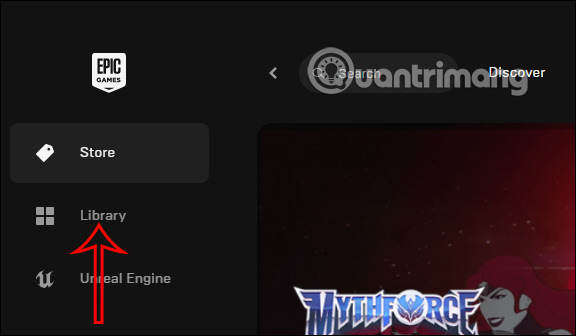 Library Epic Games Store