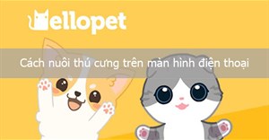 Cách nuôi thú cưng trên màn hình điện thoại với Hellopet