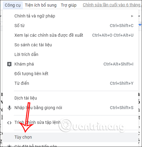 Tùy chọn Google Docs