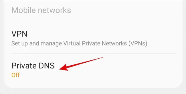 Nhấn vào “Private DNS”