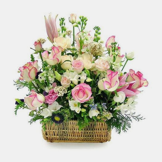 Hoa chúc mừng sinh nhật 7