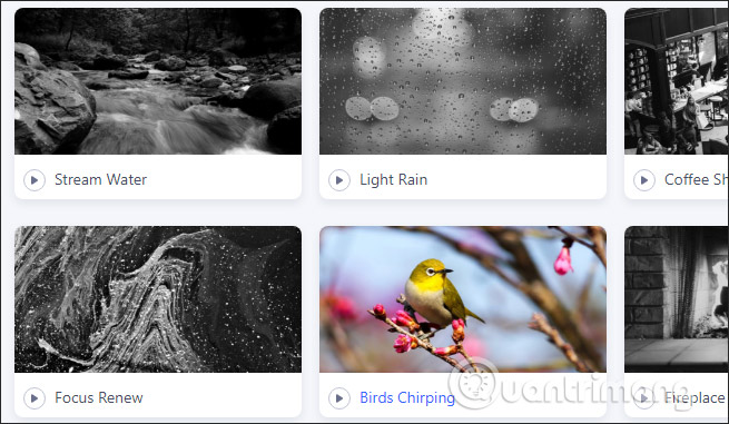 Nghe nhạc trên Zen Sounds