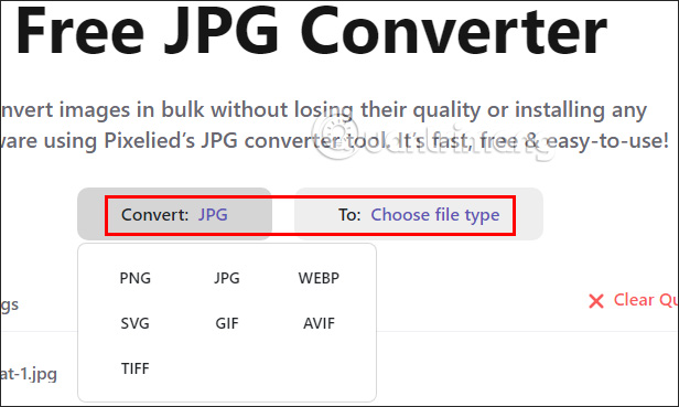 Chọn định dạng ảnh trên Pixelied Convert