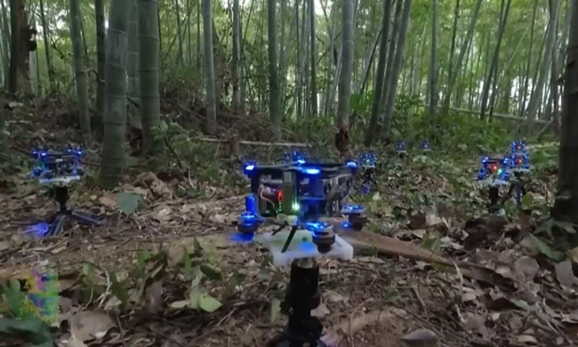 Đội quân drone tự động luồn lách qua rừng tre