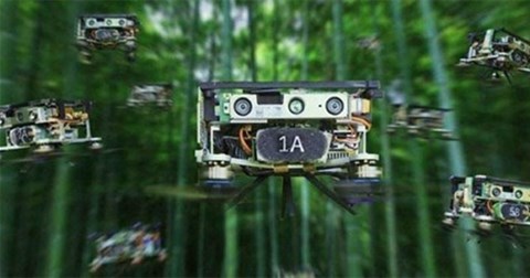 Xem đội quân drone tự động luồn lách qua rừng tre như trong phim
