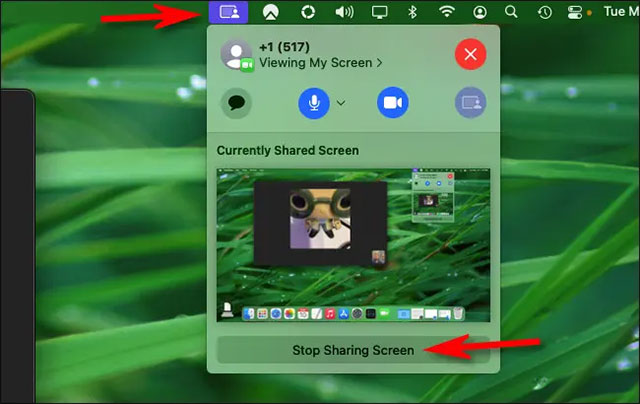 Chọn “Stop Sharing Screen”