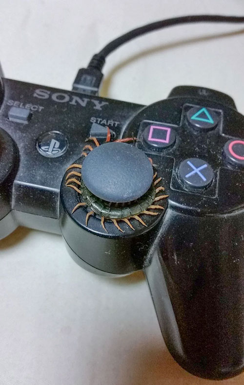 Ai dám chơi game lúc này thì quả thật xứng đáng có 10 người yêu. Cơ mà nhìn nó lại hợp lý đến bất ngờ đấy chứ.