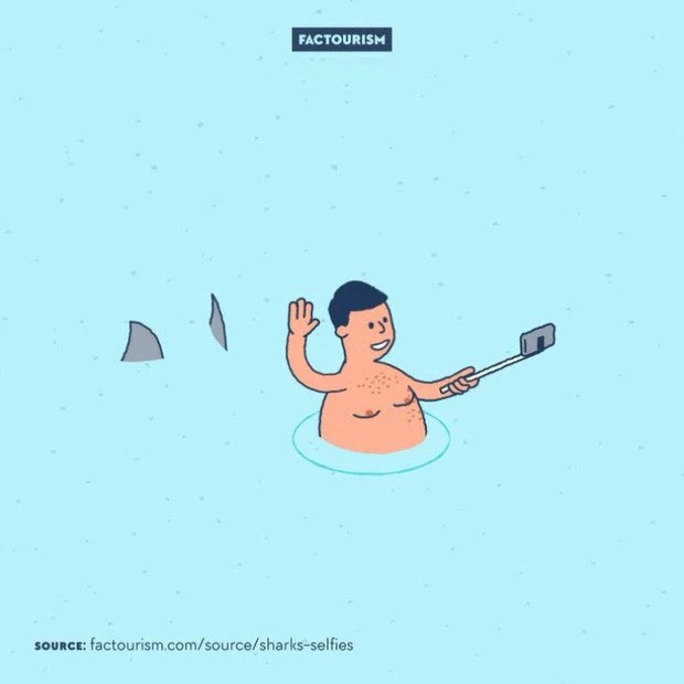 1. Số người chết vì chụp selfie mà không để ý đến ngoại cảnh xung quanh còn nhiều hơn vì cá mập cắn.