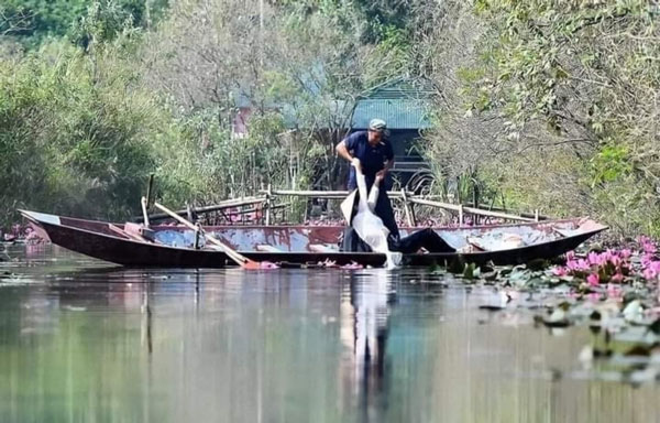 "Ét ô ét" cũng là đi chụp ảnh hoa nhưng mà nó lạ lắm, bạn có thể tắm sông bất cứ lúc nào. Bức ảnh này khiến nhiều người liên tưởng tới tác phẩm "Ông lão đánh cá và con cá vàng".