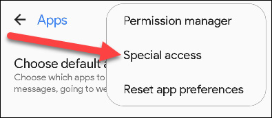 Chọn “Special Access”