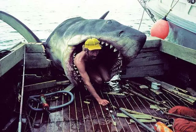 Một người thợ đang sửa chữa răng của mô hình cá mập trên phim trường Set Of Jaws (Hàm cá mập), năm 1974.