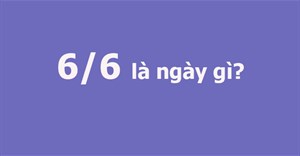 6/6 là ngày gì?