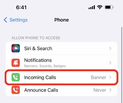 Click on “Incoming Calls”
