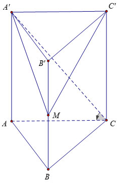 V=S_{A B C} cdot h=sqrt{3} cdot 3=3 sqrt{3}left(m^3right)