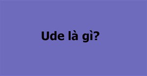 Ude là gì? Ảnh ude là gì?