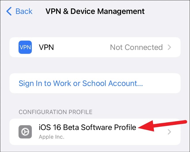 Click on iOS 16 Beta Software Profile