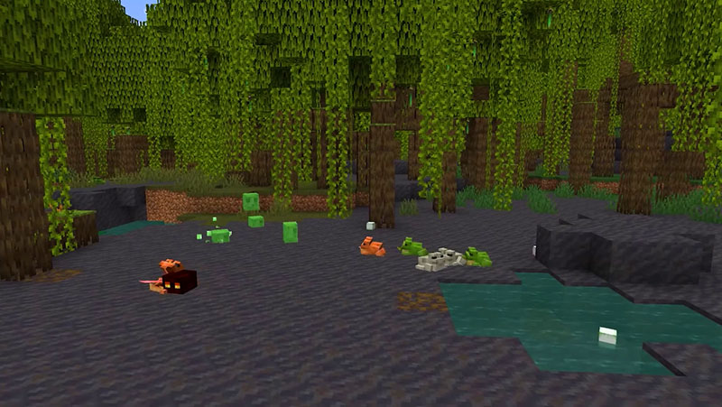 minecraft cap nhat 1.19