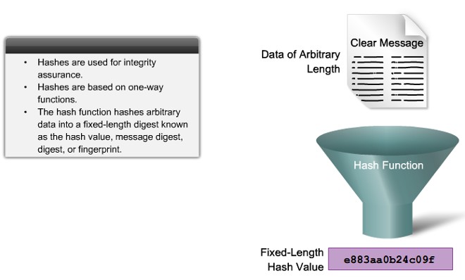 Cryptographic Hashes