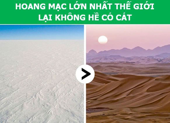 Không phải Sahara mà Nam Cực mới là hoang mạc lớn nhất thế giới. Nam Cực hoàn toàn thỏa mãn định nghĩa về một “hoang mạc” là khu vực có lượng mưa ít hơn 250mm/năm.