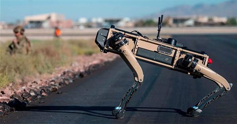 Xem chó robot bơi qua suối, vượt đường rừng