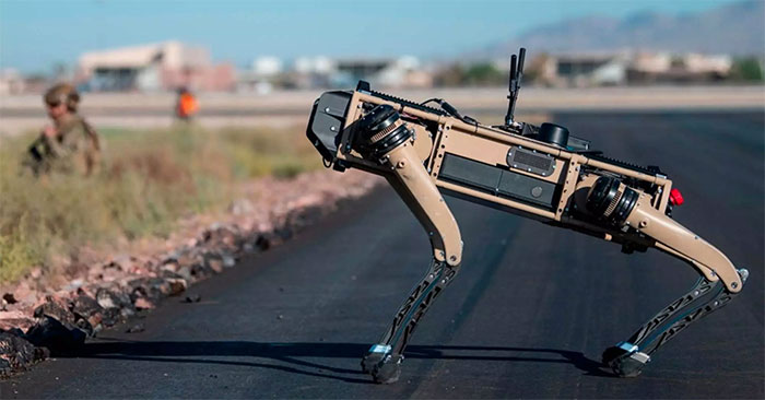 Robot chó Vision 60.