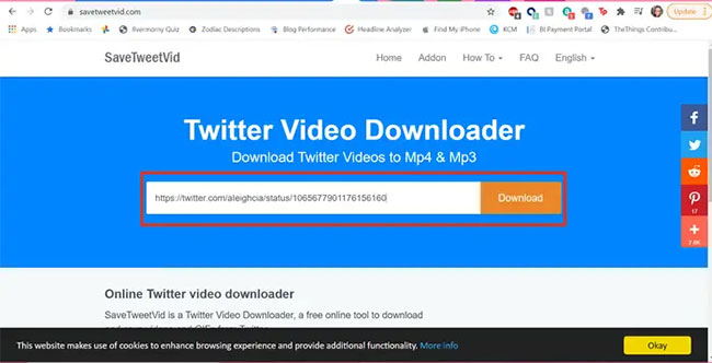 Dán URL vào hộp văn bản của SaveTweetVid và nhấp vào nút Download