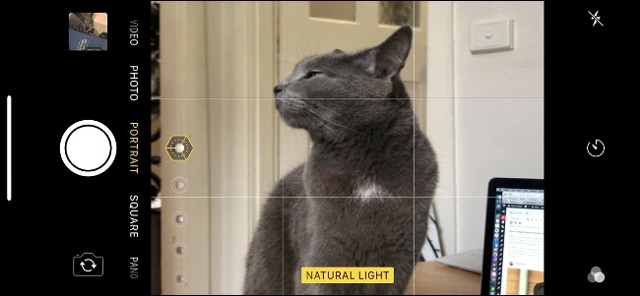 Chế độ chụp chân dung bị giới hạn