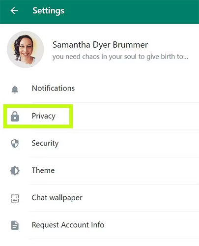 WhatsApp Web Privacy menu option