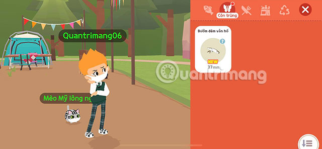 bat con trung play together