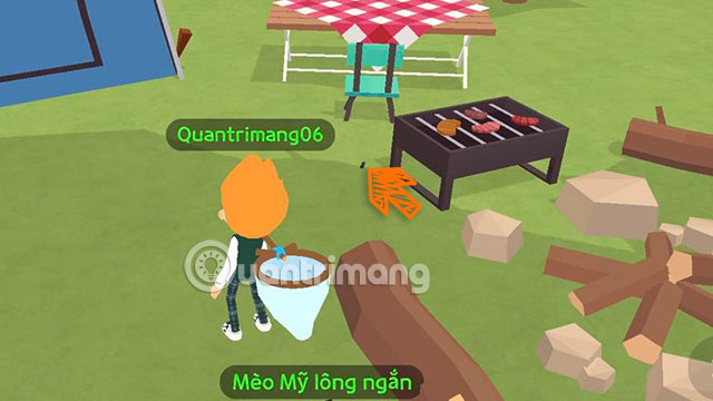 bat con trung play together