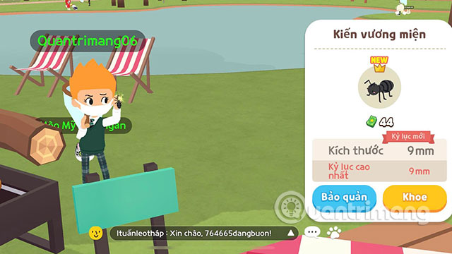 bat con trung play together