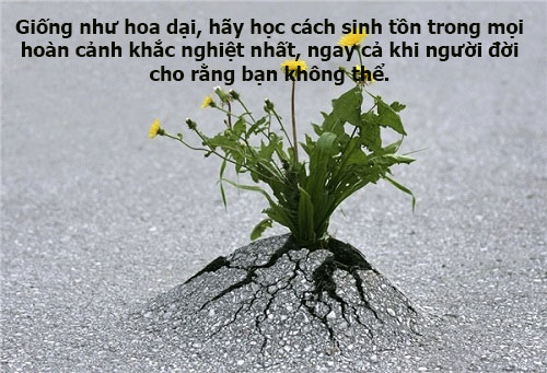 Câu chuyện cuộc sống truyền cảm hứng 