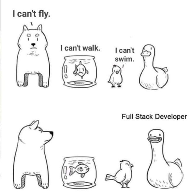 Ảnh vui về full stack developer