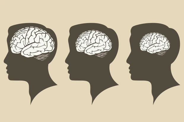 Bộ não của con người co lại khi già đi