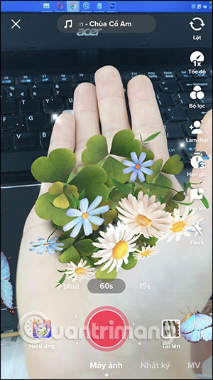 Filter bàn tay nở hoa trên TikTok