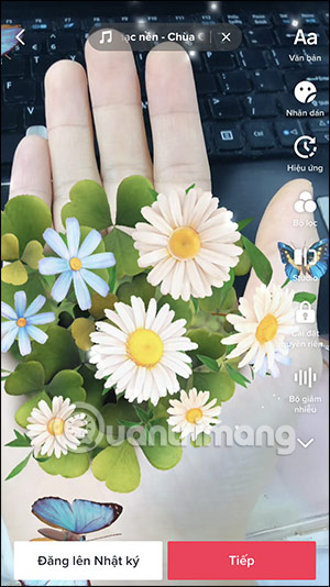 Video filter lòng bàn tay nở hoa TikTok 