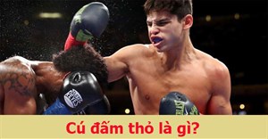 Cú đấm thỏ là gì?