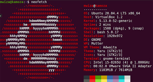 Linux Terminal hiển thị thông tin hệ thống qua ứng dụng NeoFetch