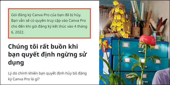 Thông báo hủy tài khoản Canva Pro