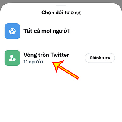 Chọn Vòng tròn Twitter thay vì Tất cả mọi người.