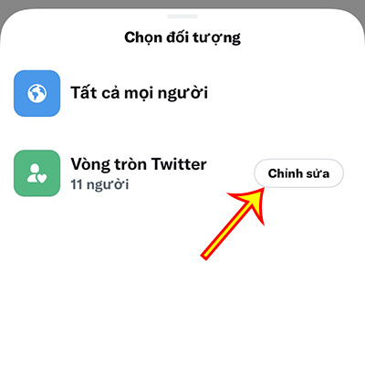 Nhấn vào nút Chỉnh sửa tại phần Vòng tròn Twitter.