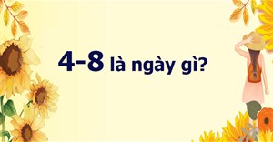 4-8 là ngày gì?