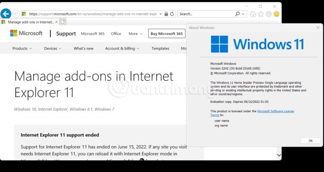 Internet Explorer xuất hiện trở lại trên Windows 11