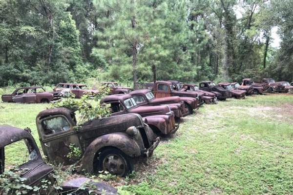 Hàng trăm chiếc xe đều đã mục nát trong khu nghĩa địa gần Crawfordville, Florida (Mỹ). (Ảnh: Hotcars).